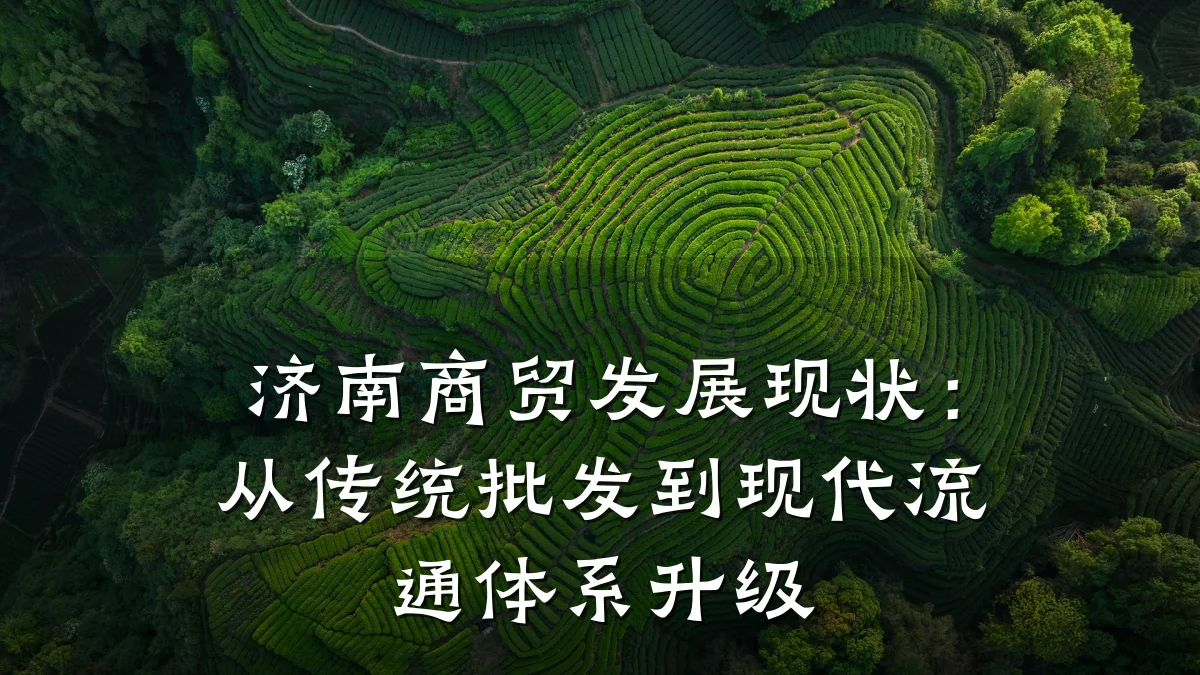 济南商贸发展现状:从传统批发到现代流通体系升级