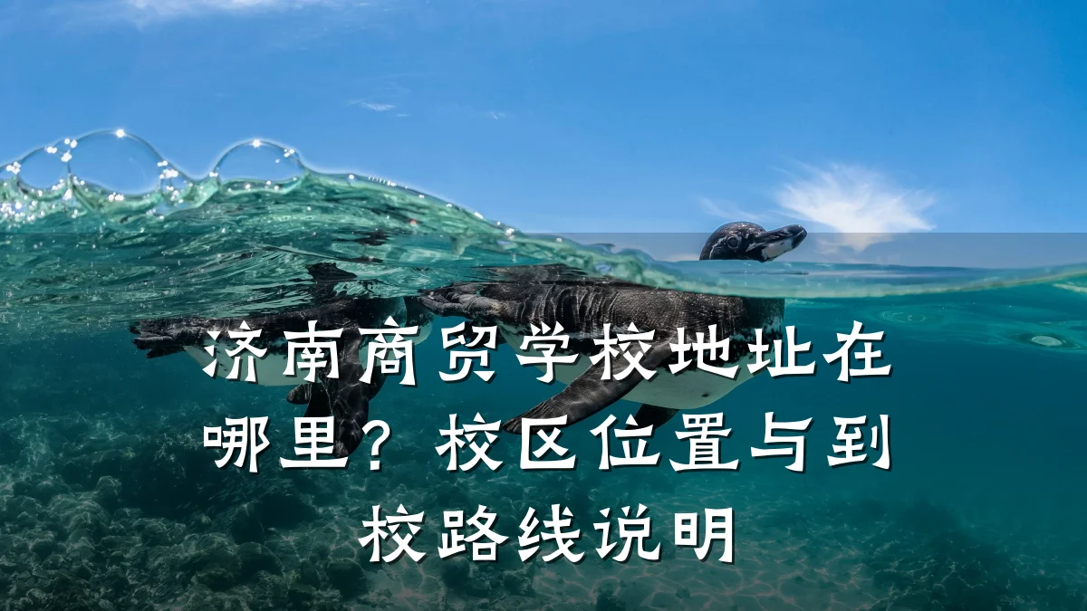 济南商贸学校地址在哪里?校区位置与到校路线说明