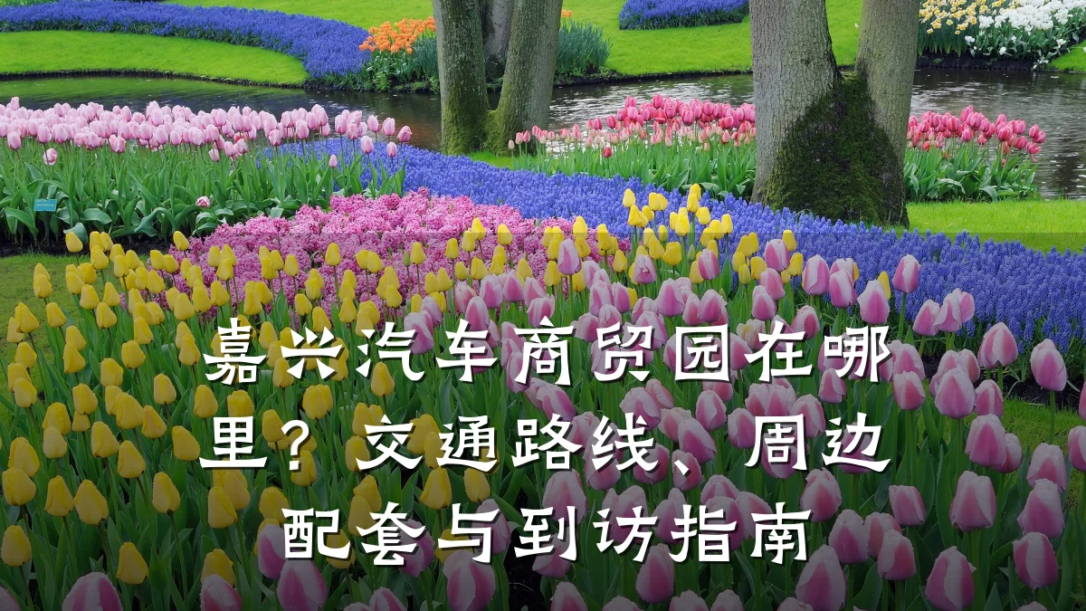 嘉兴汽车商贸园在哪里？交通路线、周边配套与到访指南
