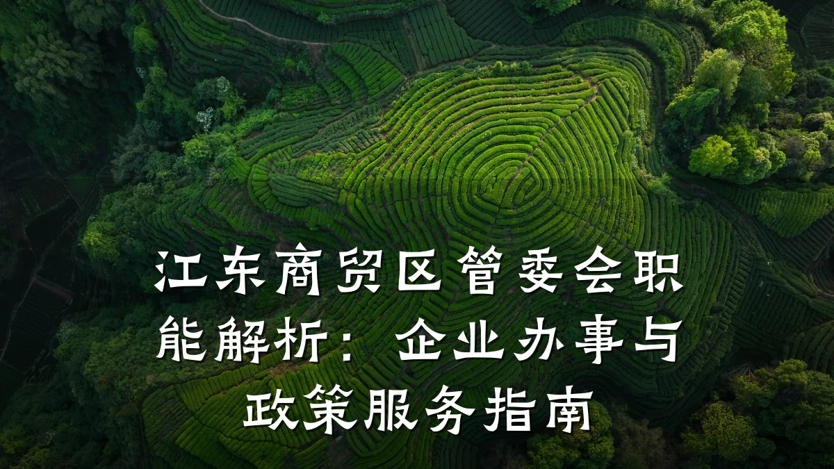 江东商贸区管委会职能解析:企业办事与政策服务指南