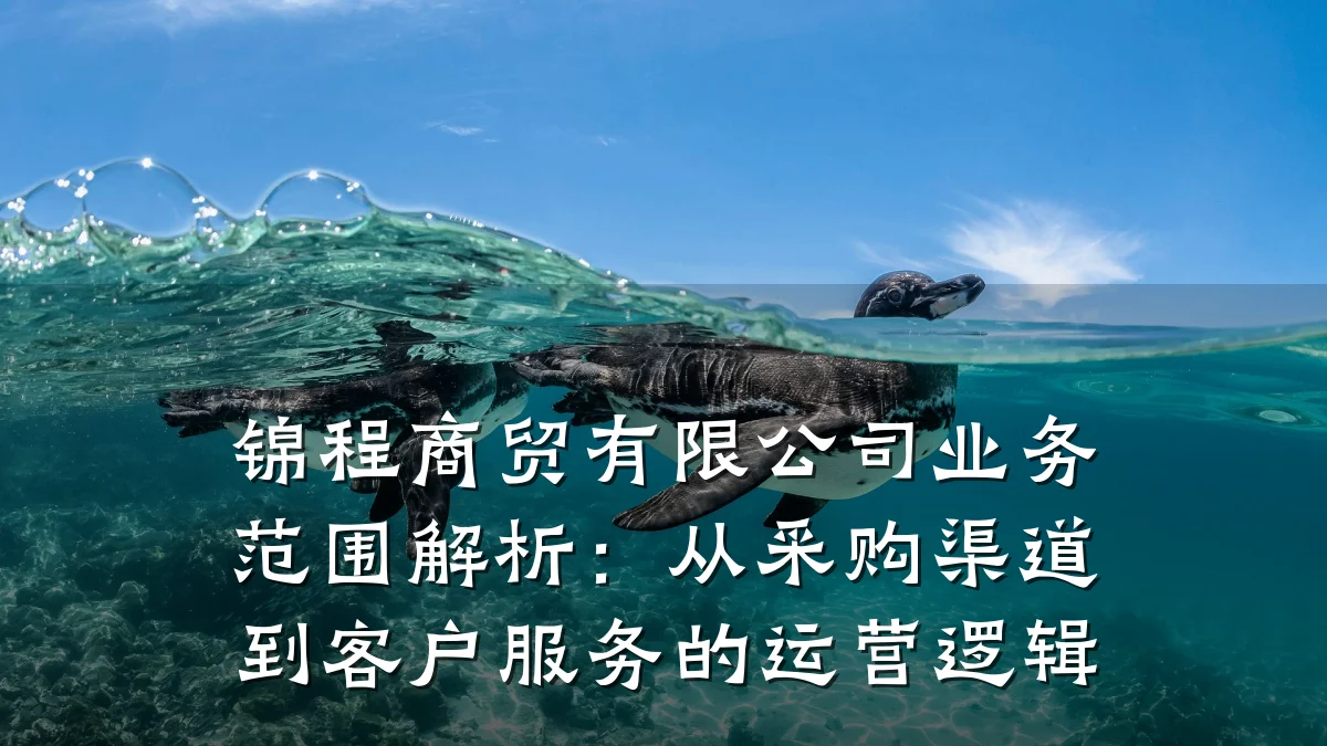 锦程商贸有限公司业务范围解析:从采购渠道到客户服务的运营逻辑