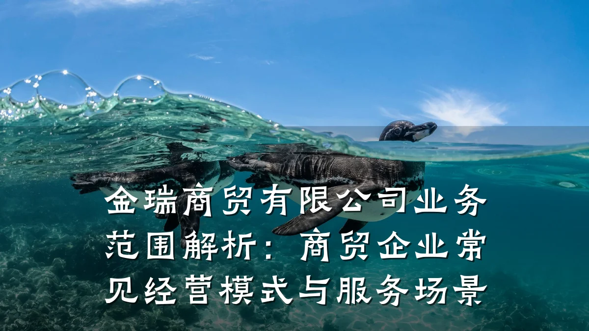 金瑞商贸有限公司业务范围解析:商贸企业常见经营模式与服务场景