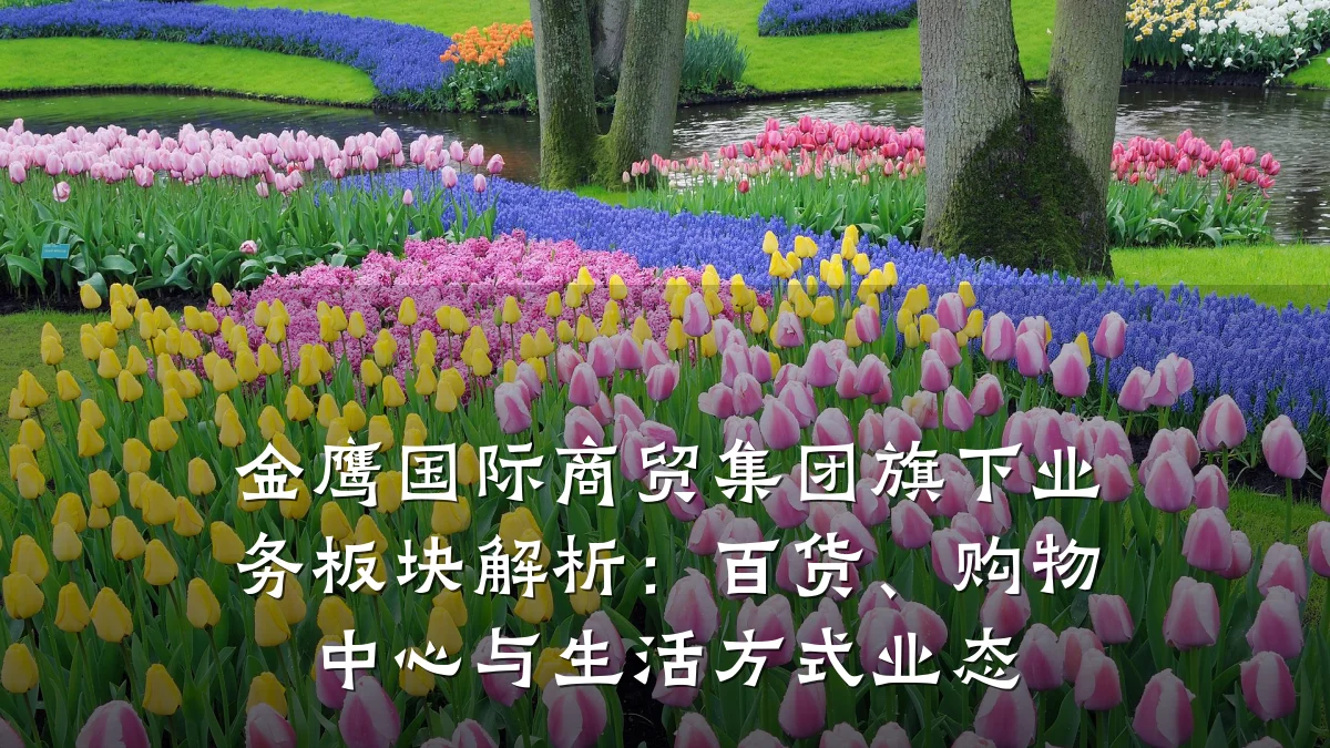 金鹰国际商贸集团旗下业务板块解析：百货、购物中心与生活方式业态