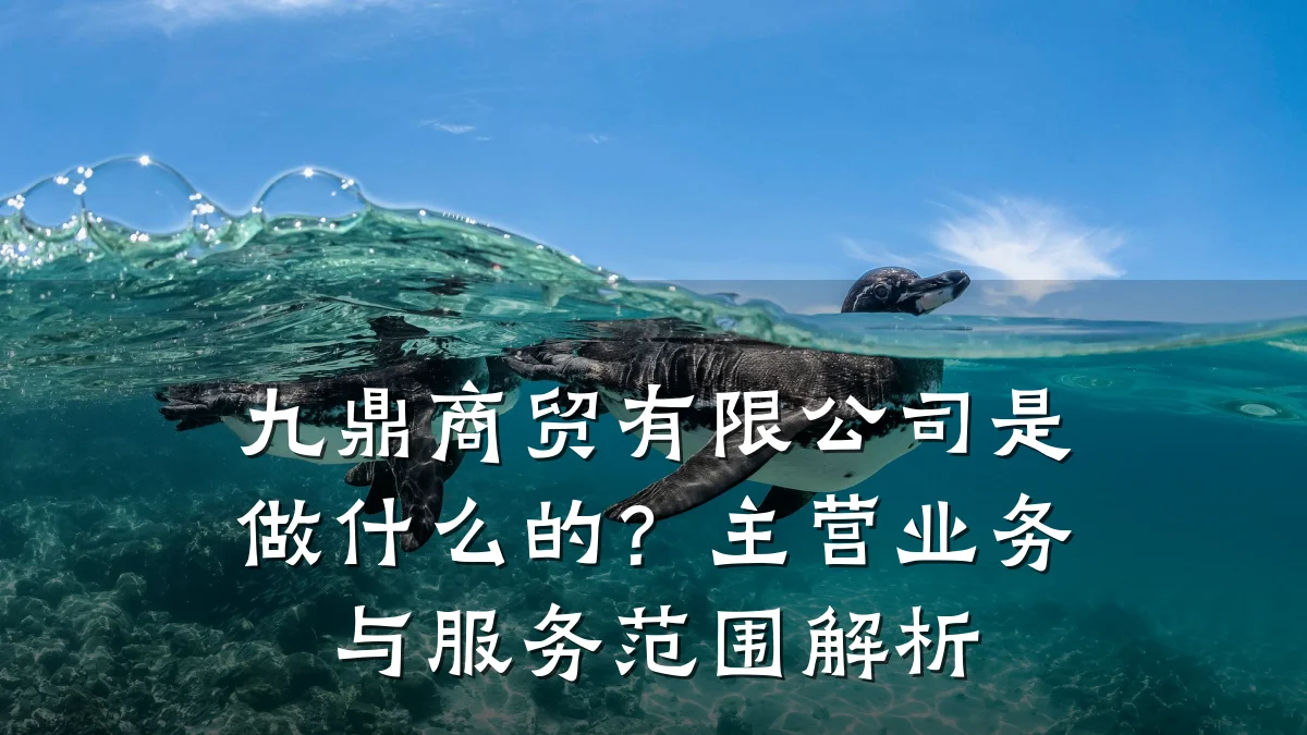 九鼎商贸有限公司是做什么的?主营业务与服务范围解析