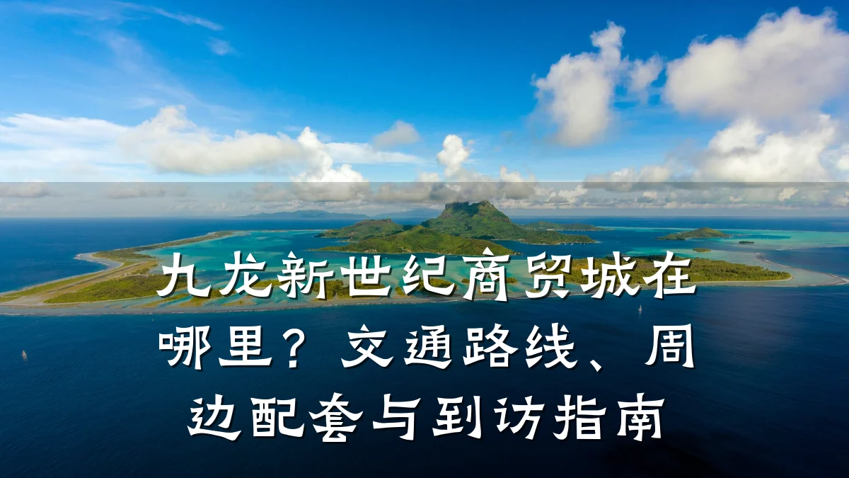 九龙新世纪商贸城在哪里？交通路线、周边配套与到访指南