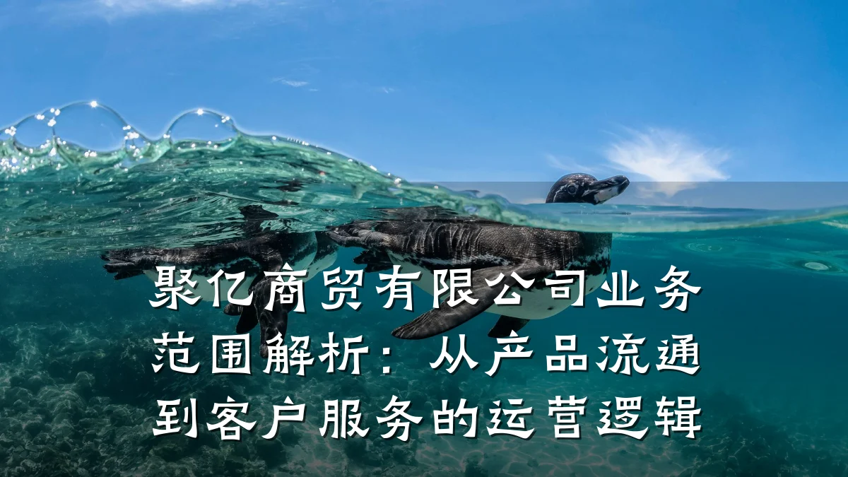 聚亿商贸有限公司业务范围解析:从产品流通到客户服务的运营逻辑