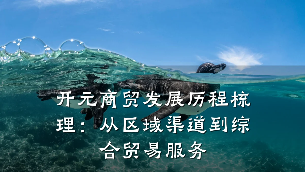 开元商贸发展历程梳理：从区域渠道到综合贸易服务
