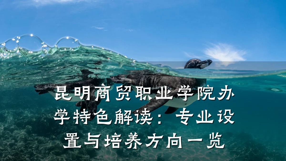 昆明商贸职业学院办学特色解读：专业设置与培养方向一览
