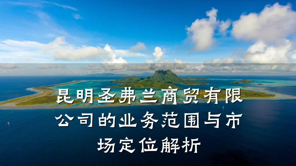 昆明圣弗兰商贸有限公司的业务范围与市场定位解析