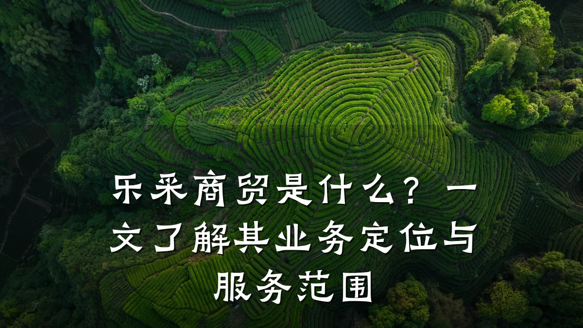 乐采商贸是什么?一文了解其业务定位与服务范围