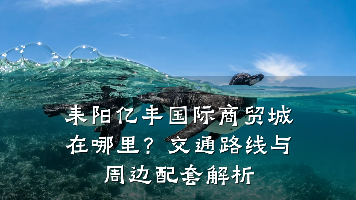 耒阳亿丰国际商贸城在哪里?交通路线与周边配套解析