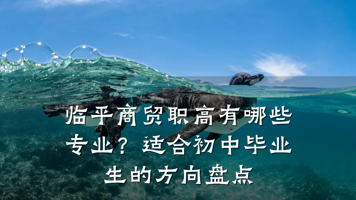 临平商贸职高有哪些专业?适合初中毕业生的方向盘点