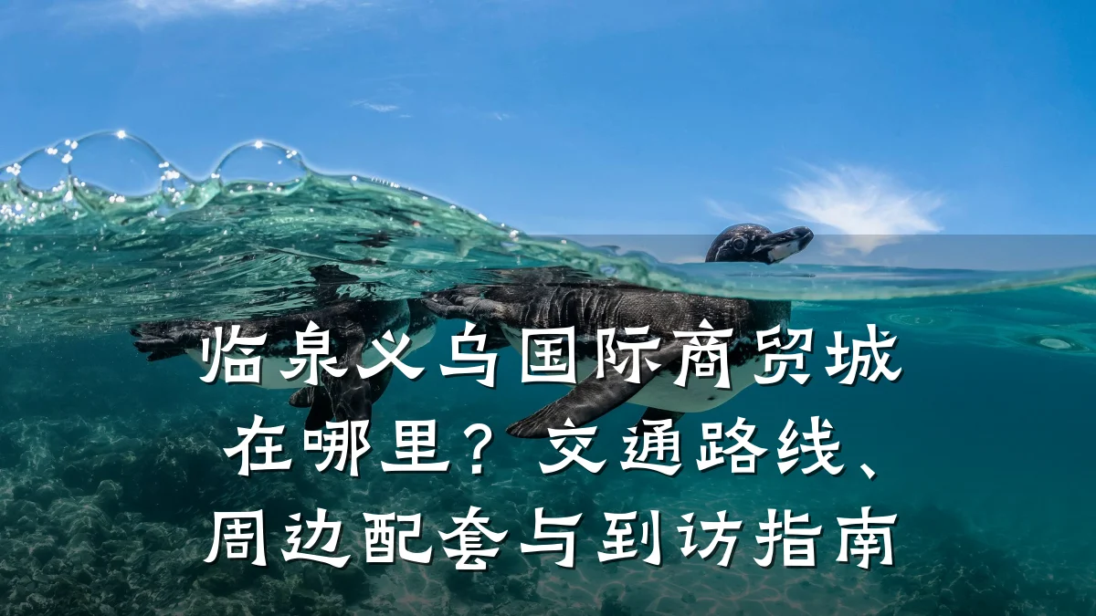 临泉义乌国际商贸城在哪里？交通路线、周边配套与到访指南