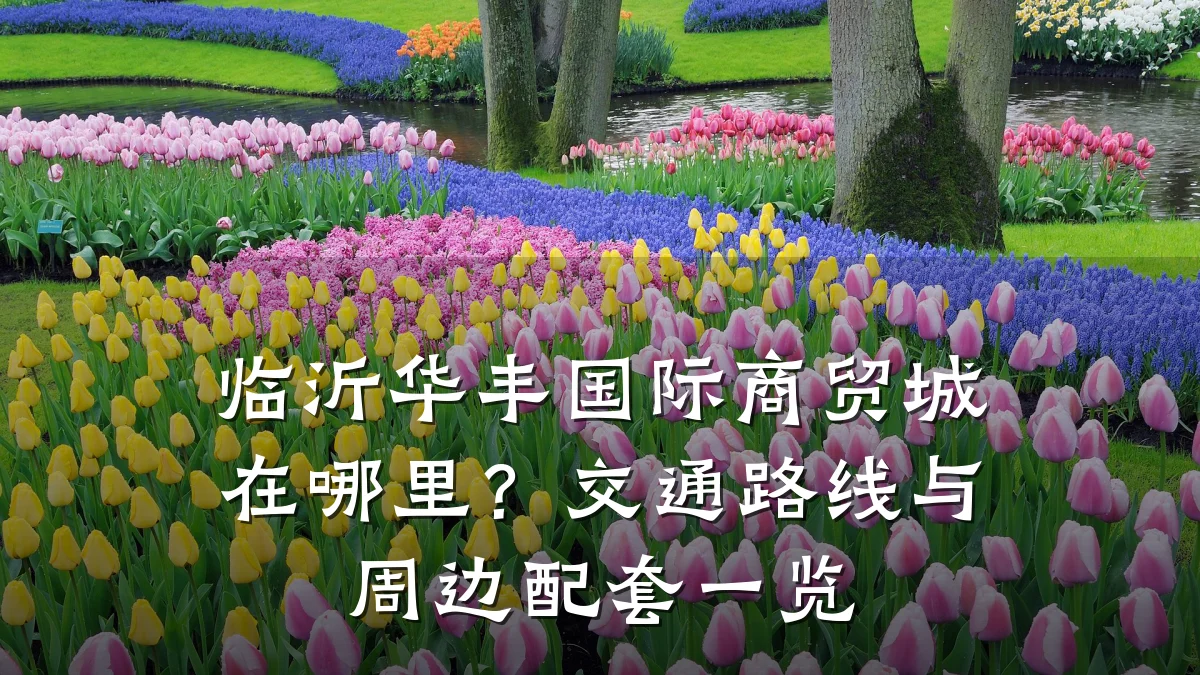临沂华丰国际商贸城在哪里?交通路线与周边配套一览
