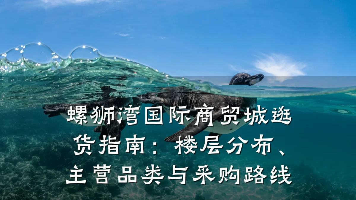 螺狮湾国际商贸城逛货指南:楼层分布、主营品类与采购路线