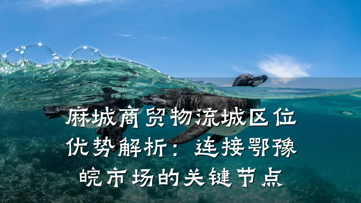 麻城商贸物流城区位优势解析:连接鄂豫皖市场的关键节点