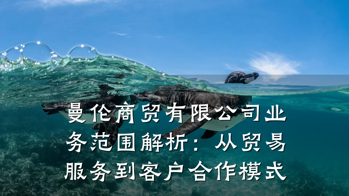 曼伦商贸有限公司业务范围解析:从贸易服务到客户合作模式