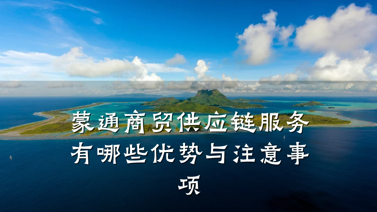蒙通商贸供应链服务有哪些优势与注意事项