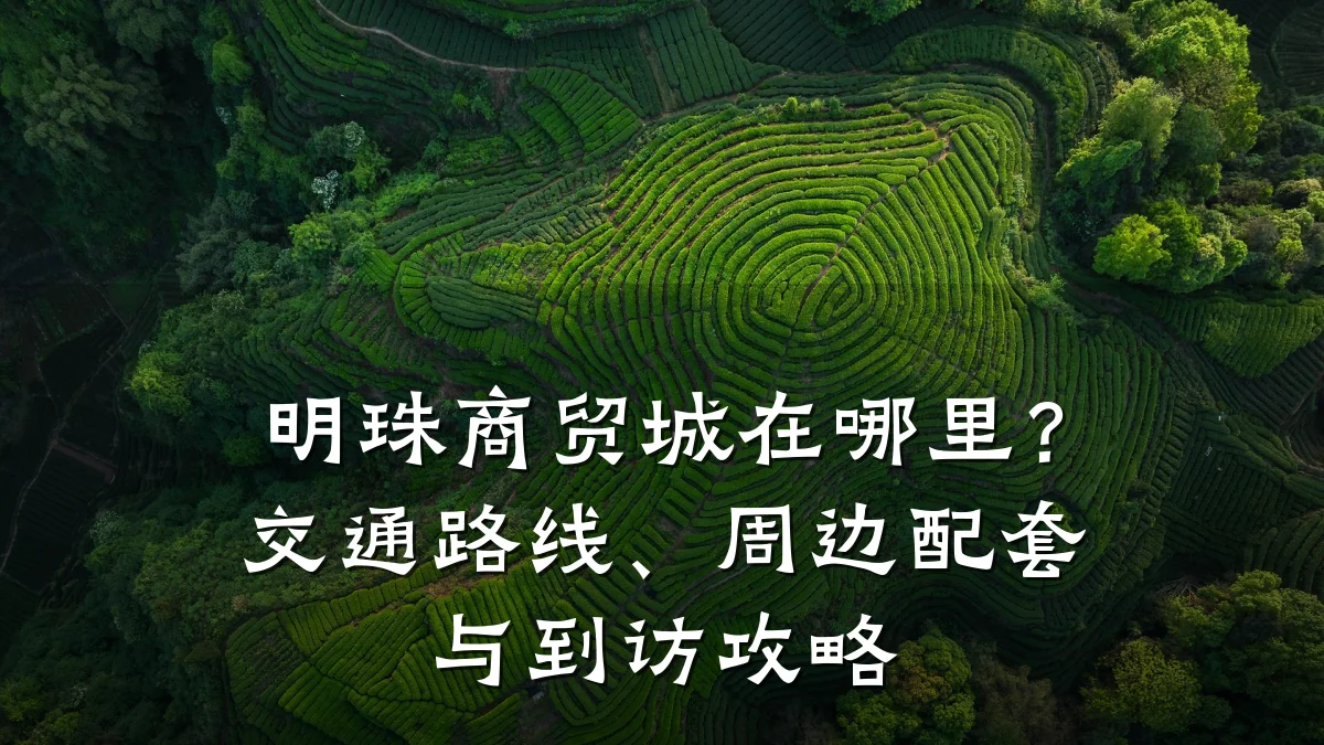 明珠商贸城在哪里?交通路线、周边配套与到访攻略