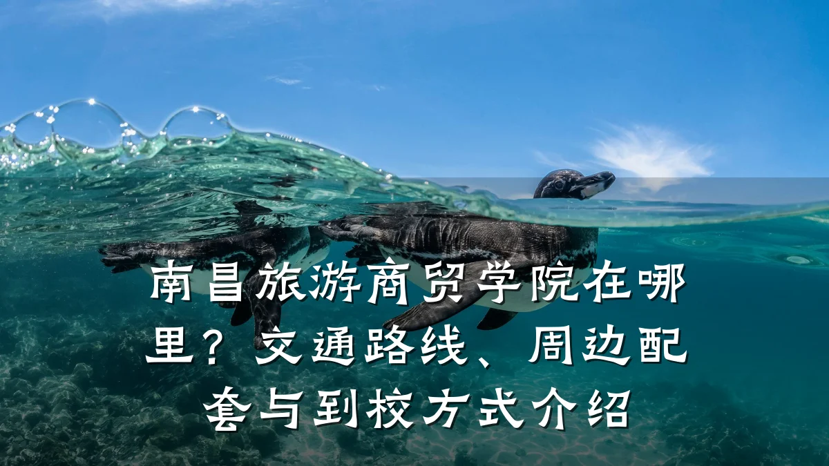 南昌旅游商贸学院在哪里？交通路线、周边配套与到校方式介绍
