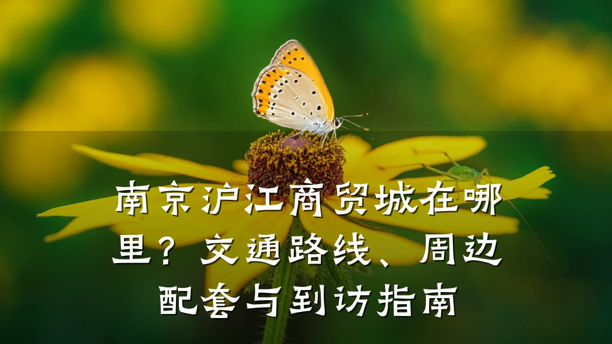 南京沪江商贸城在哪里?交通路线、周边配套与到访指南