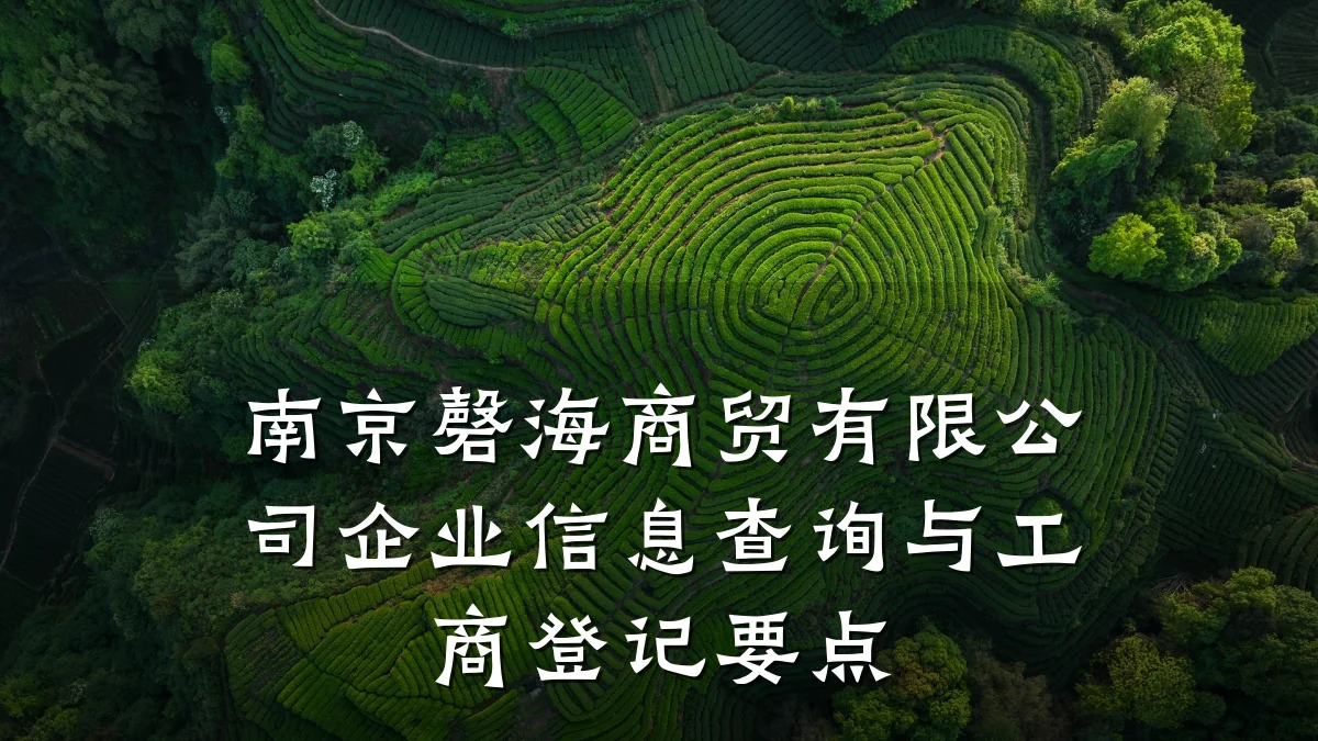 南京磬海商贸有限公司企业信息查询与工商登记要点