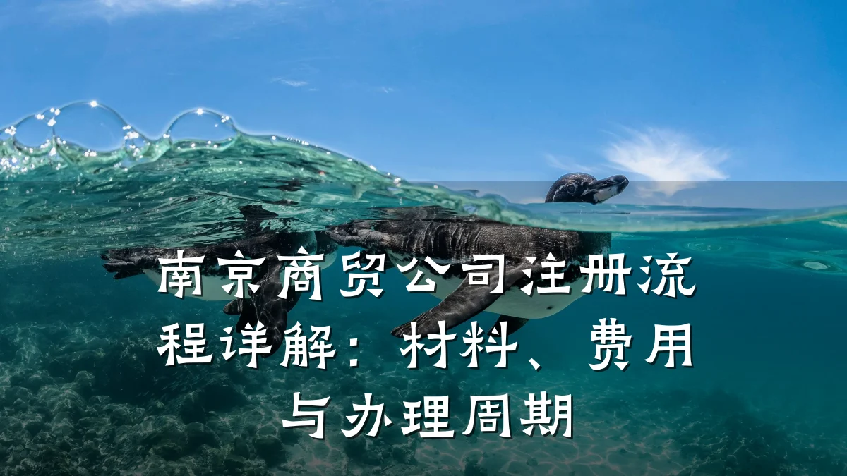 南京商贸公司注册流程详解:材料、费用与办理周期
