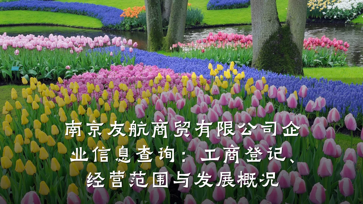 南京友航商贸有限公司企业信息查询：工商登记、经营范围与发展概况