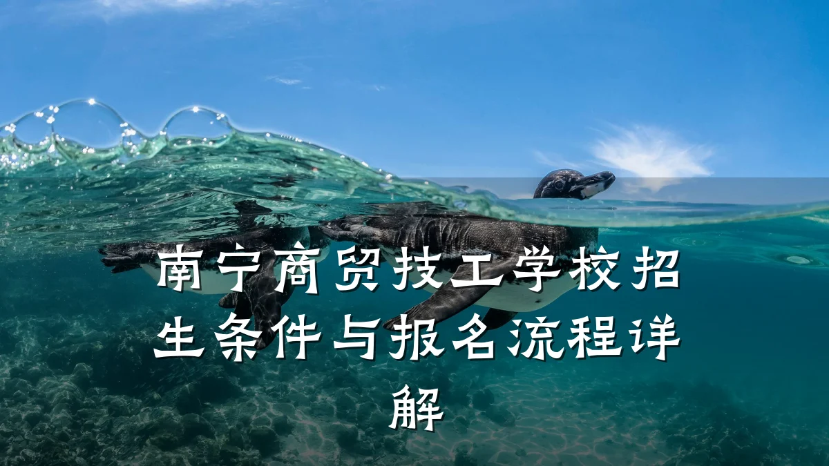 南宁商贸技工学校招生条件与报名流程详解