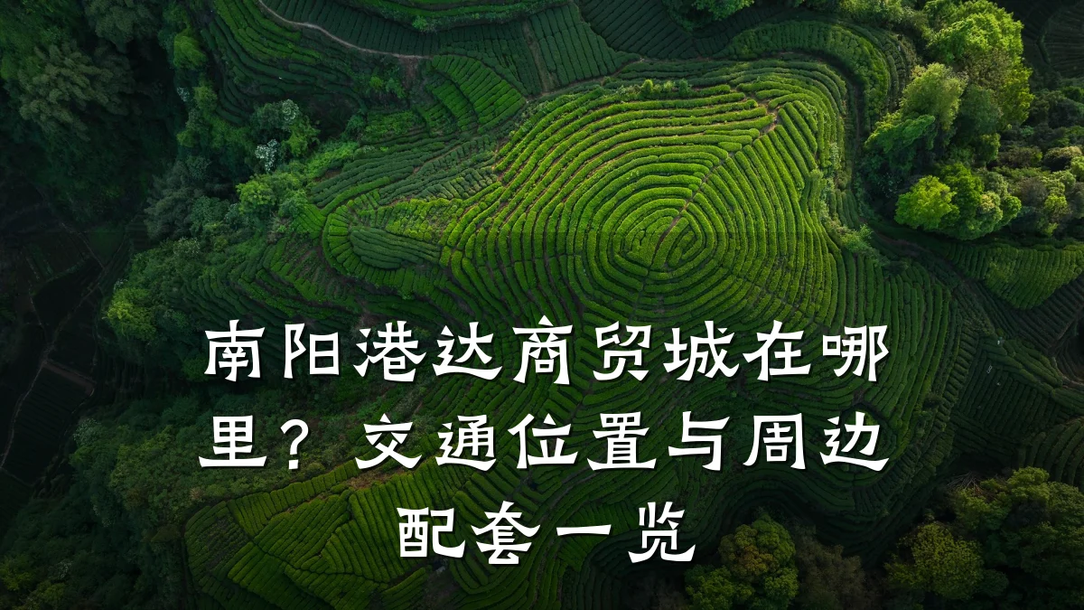 南阳港达商贸城在哪里？交通位置与周边配套一览