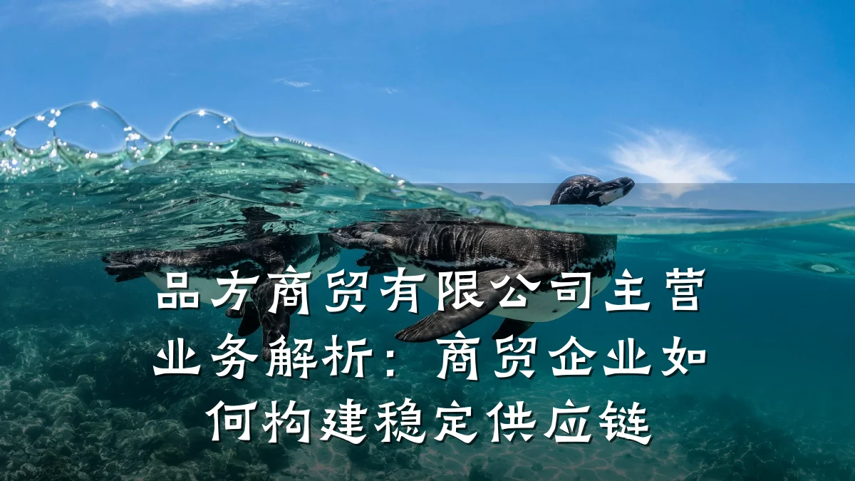 品方商贸有限公司主营业务解析:商贸企业如何构建稳定供应链