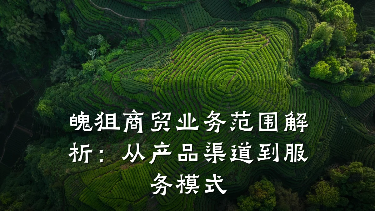 魄狙商贸业务范围解析:从产品渠道到服务模式