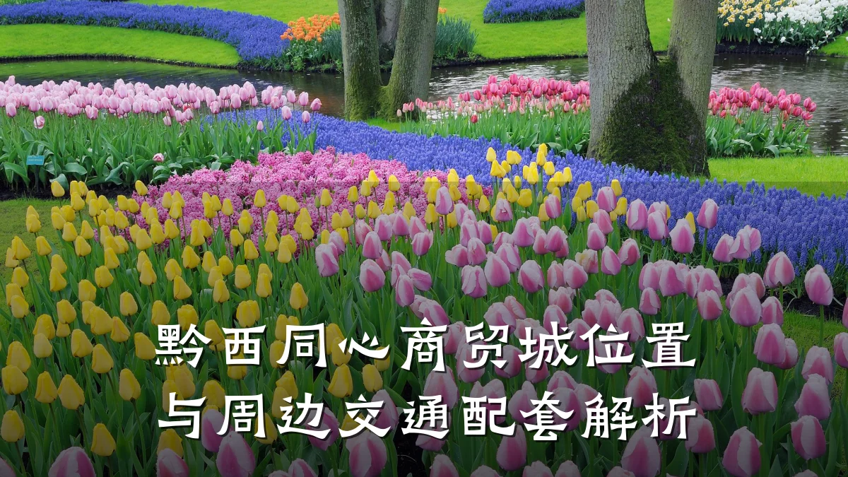 黔西同心商贸城位置与周边交通配套解析