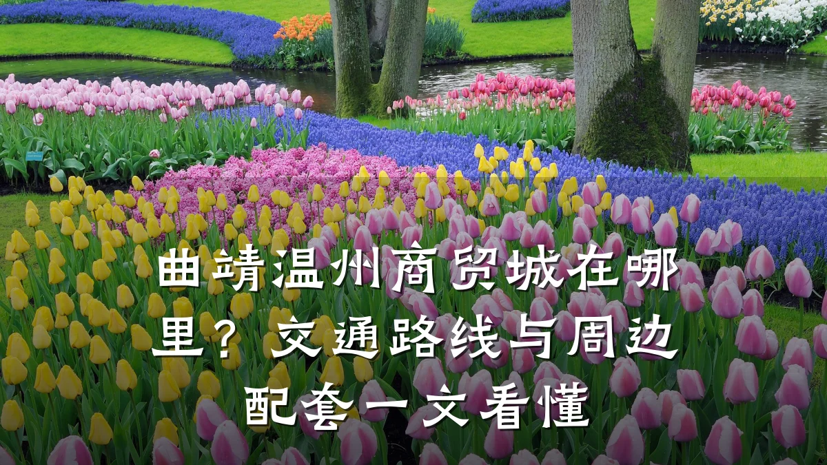 曲靖温州商贸城在哪里?交通路线与周边配套一文看懂