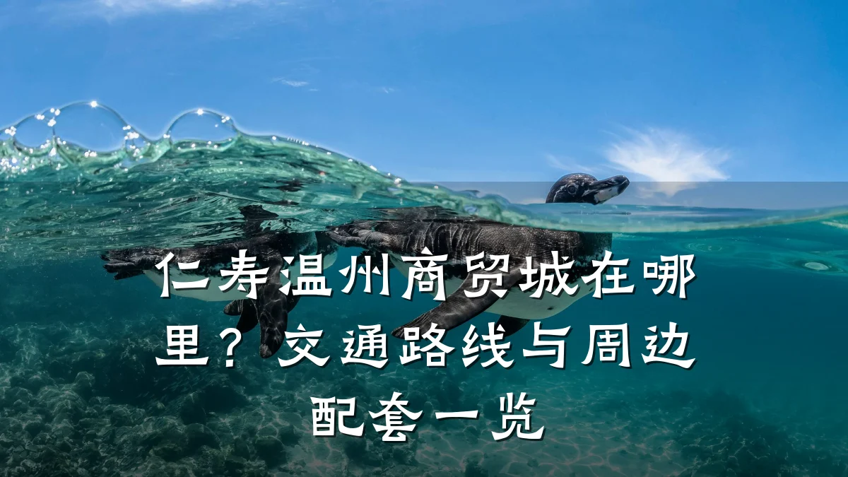 仁寿温州商贸城在哪里？交通路线与周边配套一览