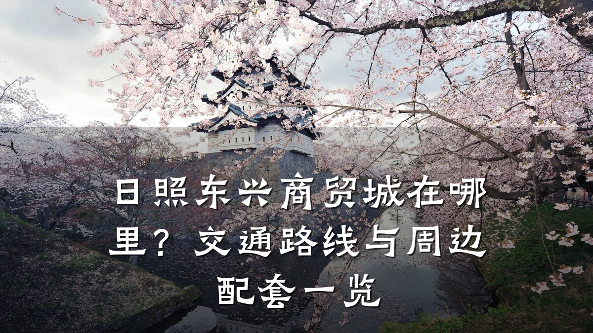 日照东兴商贸城在哪里？交通路线与周边配套一览