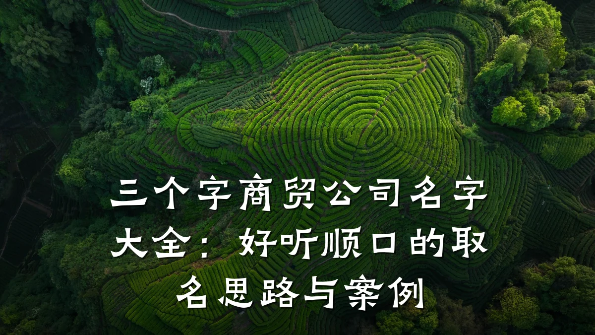 三个字商贸公司名字大全：好听顺口的取名思路与案例