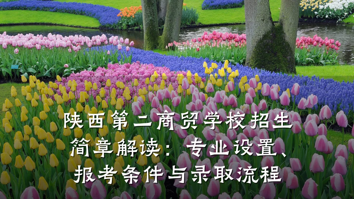 陕西第二商贸学校招生简章解读：专业设置、报考条件与录取流程