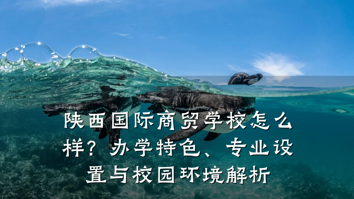 陕西国际商贸学校怎么样?办学特色、专业设置与校园环境解析