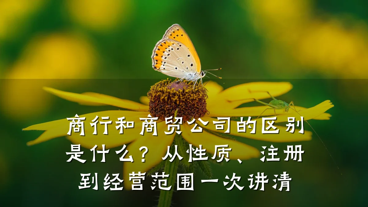 商行和商贸公司的区别是什么？从性质、注册到经营范围一次讲清