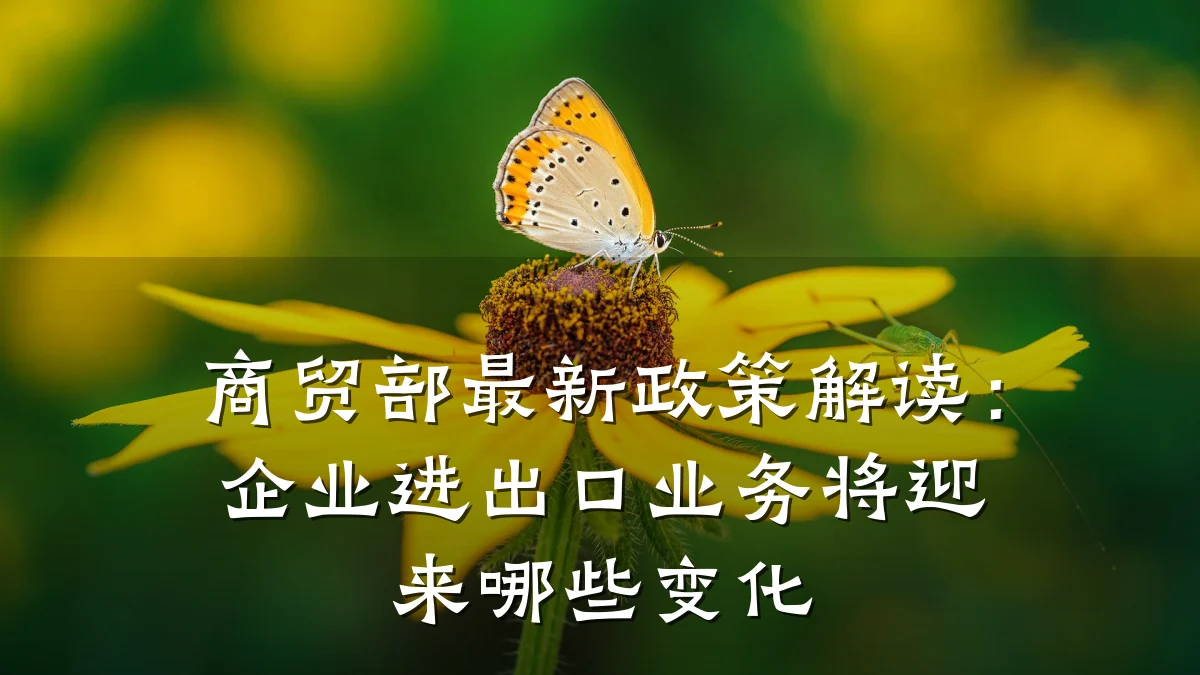 商贸部最新政策解读：企业进出口业务将迎来哪些变化