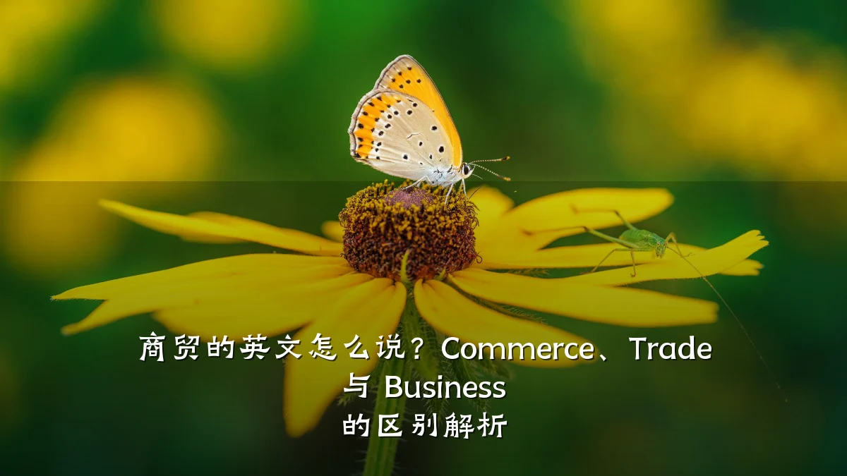 商贸的英文怎么说?Commerce、Trade 与 Business 的区别解析
