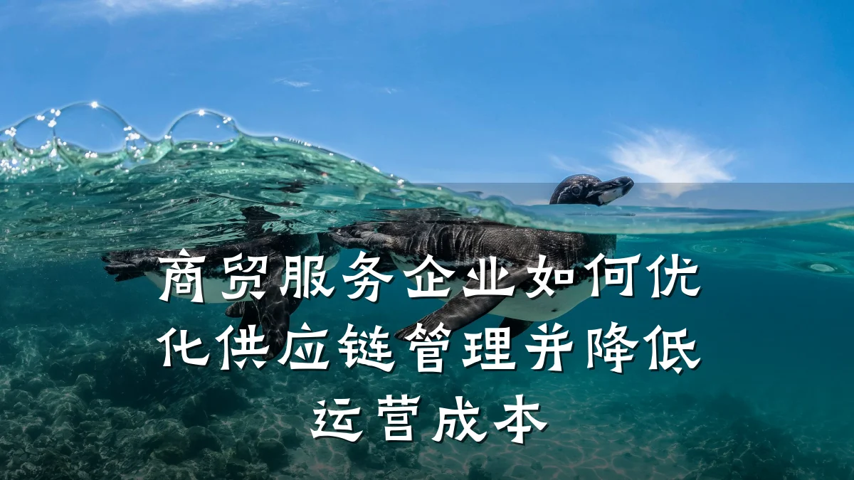商贸服务企业如何优化供应链管理并降低运营成本