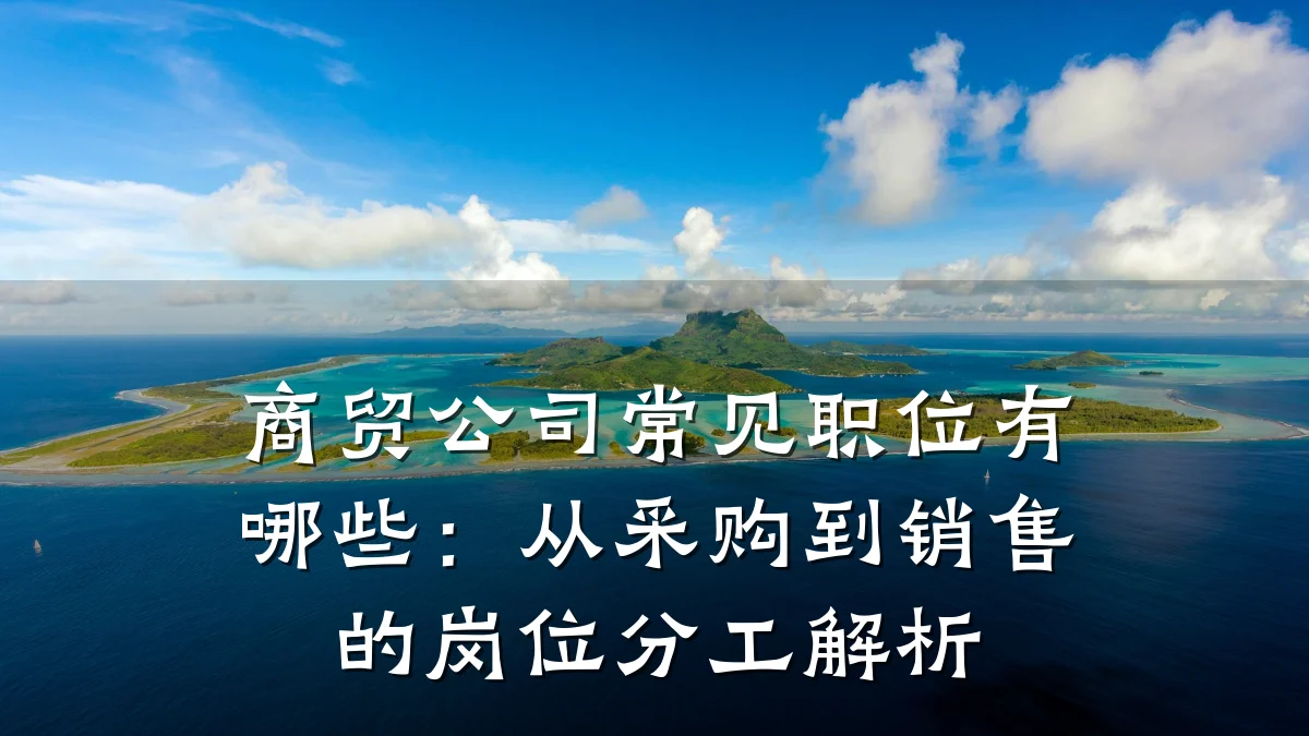 商贸公司常见职位有哪些:从采购到销售的岗位分工解析