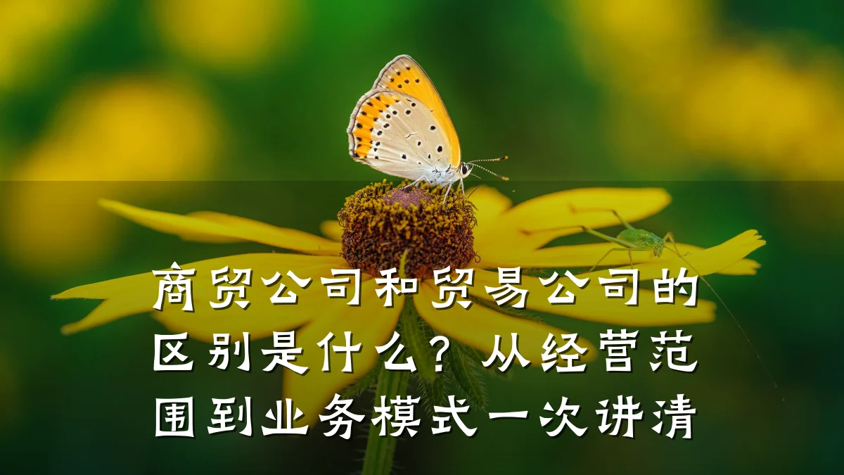 商贸公司和贸易公司的区别是什么?从经营范围到业务模式一次讲清