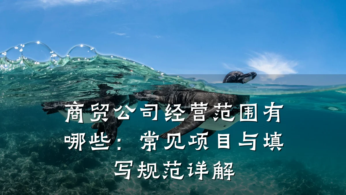 商贸公司经营范围有哪些:常见项目与填写规范详解