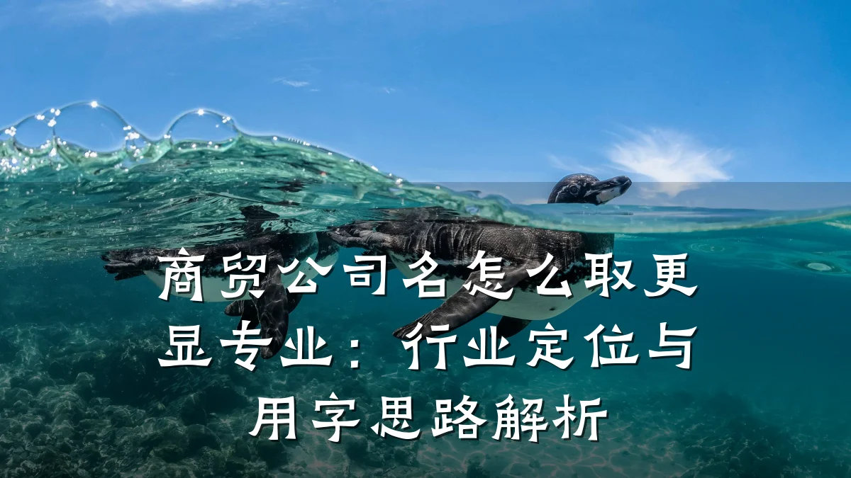 商贸公司名怎么取更显专业:行业定位与用字思路解析