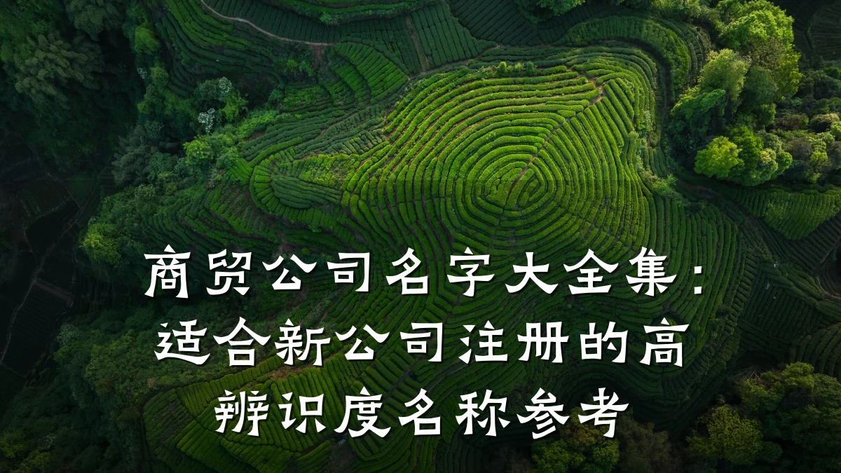 商贸公司名字大全集:适合新公司注册的高辨识度名称参考