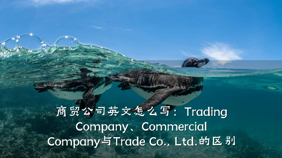 商贸公司英文怎么写:Trading Company、Commercial Company与Trade Co., Ltd.的区别
