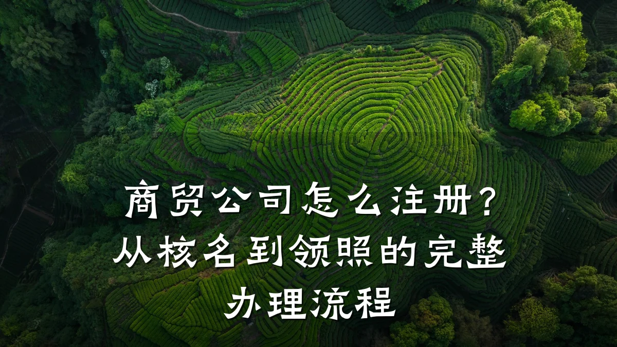 商贸公司怎么注册?从核名到领照的完整办理流程